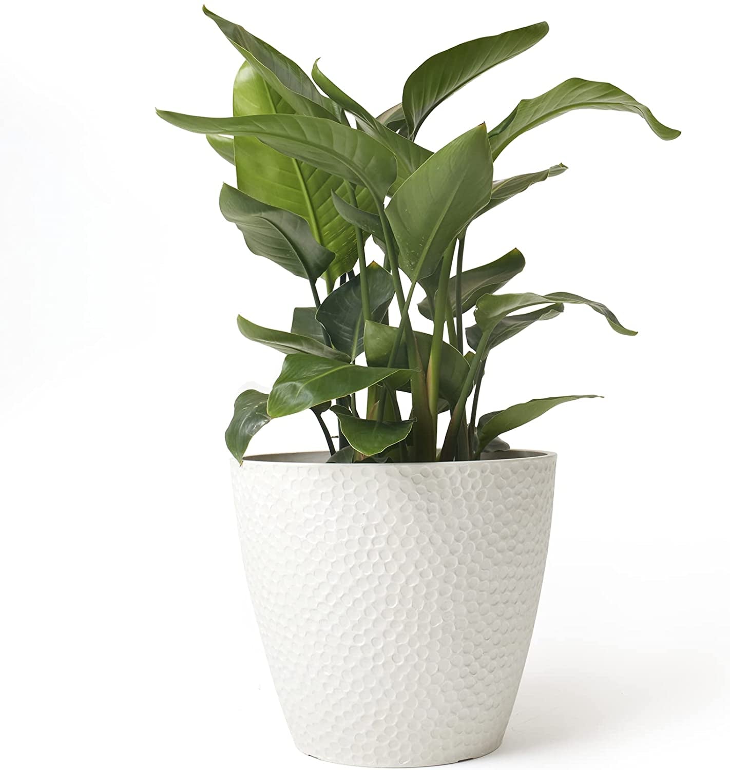 Modern 14" White Honeycomb Planter Pot – Large Decorative Flower Pot for Indoor & Outdoor House Plants